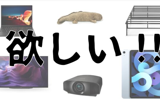 2021年に欲しいもの